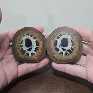 Septarian Crystal Nodule